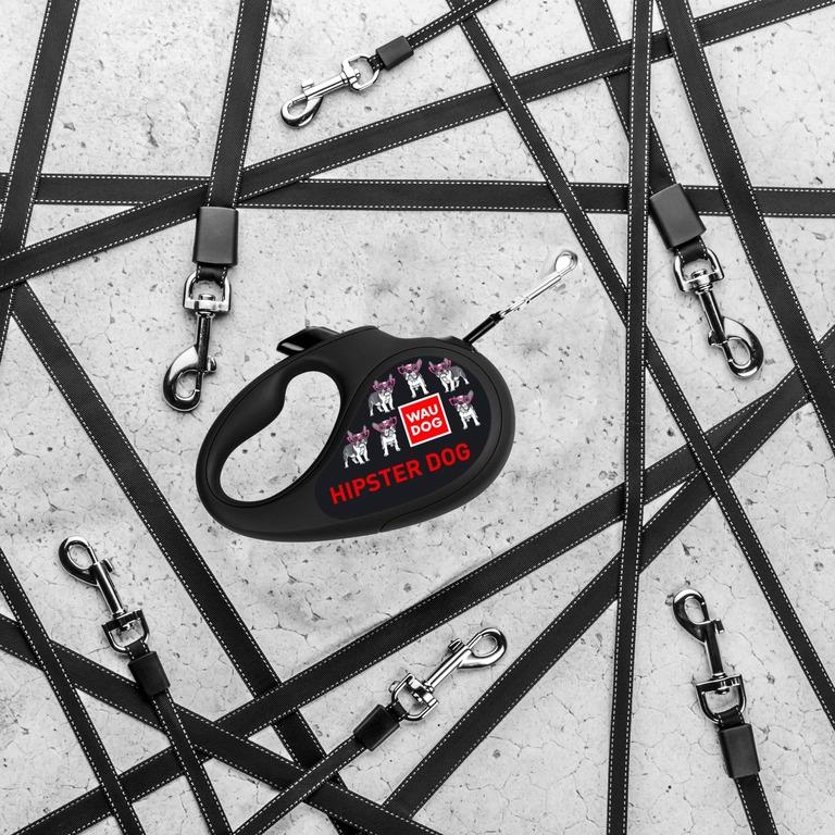 HOW TO CHOOSE A RETRACTABLE LEASH?