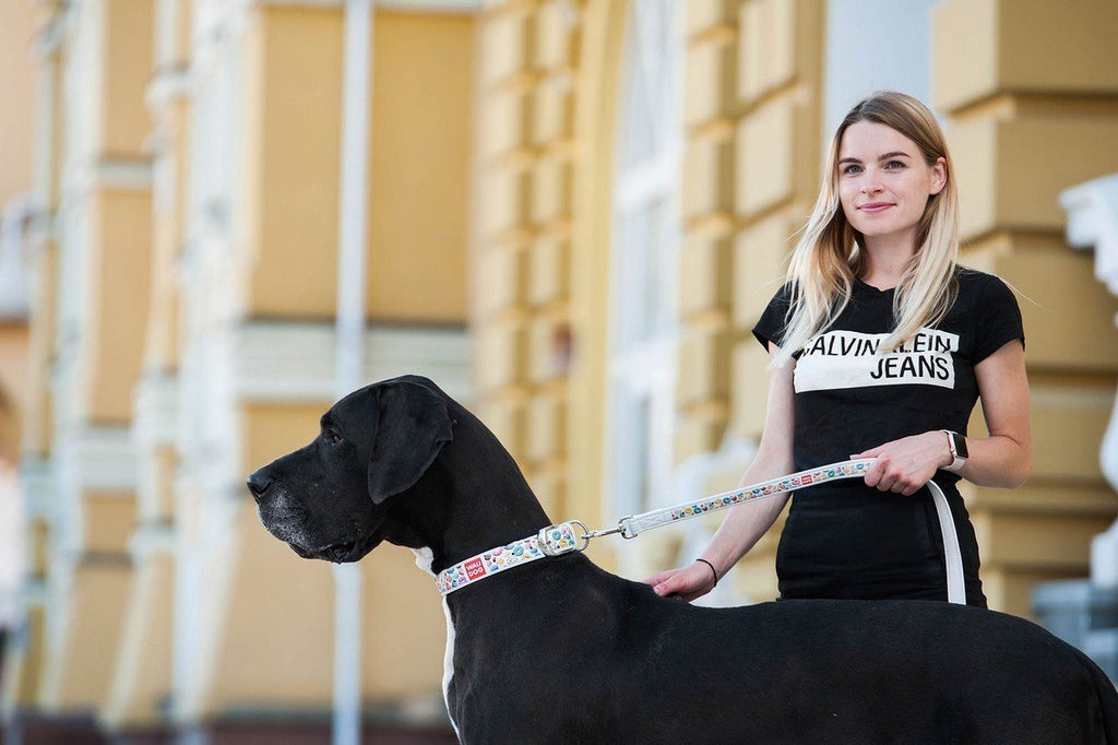 WHAT DO YOU NEED TO KNOW BEFORE BUYING A DOG?