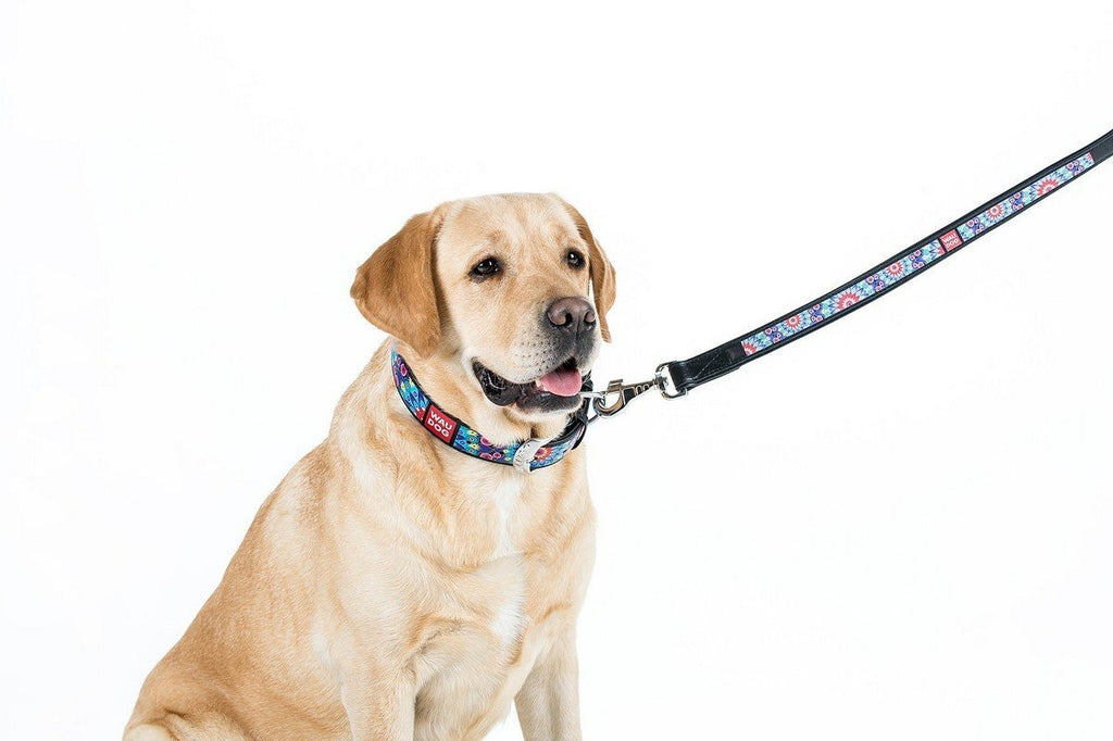 WHY DOES THE DOG HOWL?