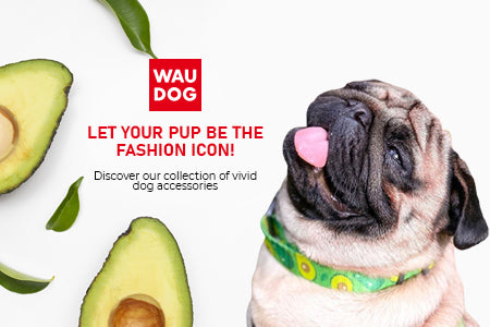 WAUDOG.COM