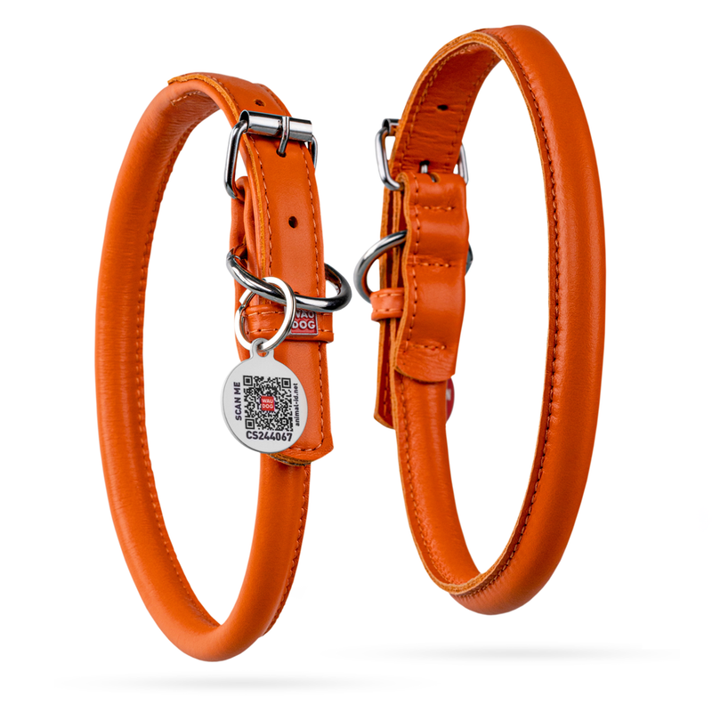 Rolled Leather Dog Collar