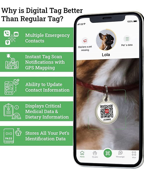 Smart ID Tag For Dogs