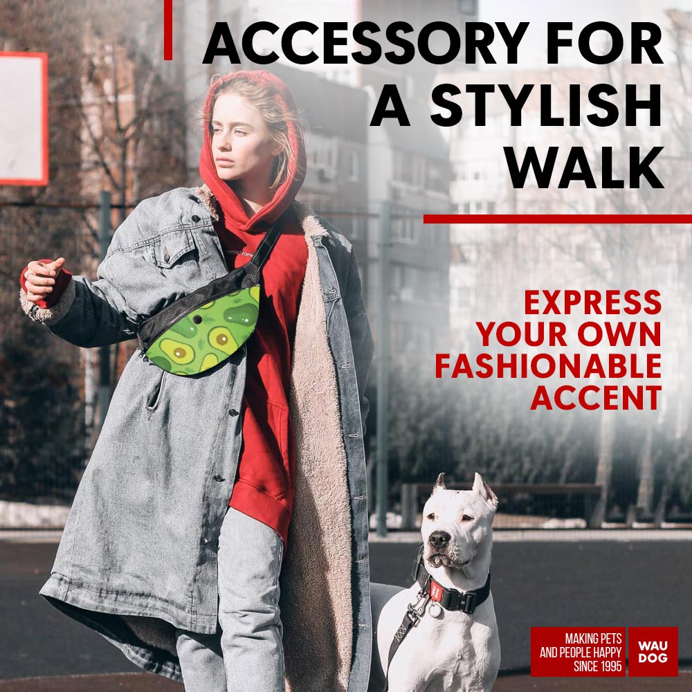 Waist bag for feed and accessories