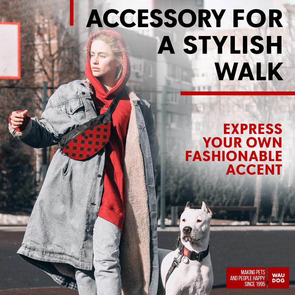 Waist bag for feed and accessories