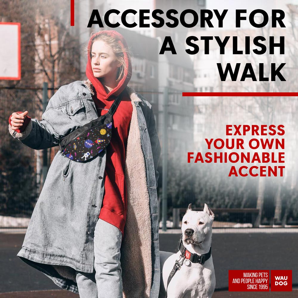 Waist bag for feed and accessories