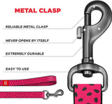Nylon leash with a unique design for dogs