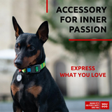 Nylon collar with design