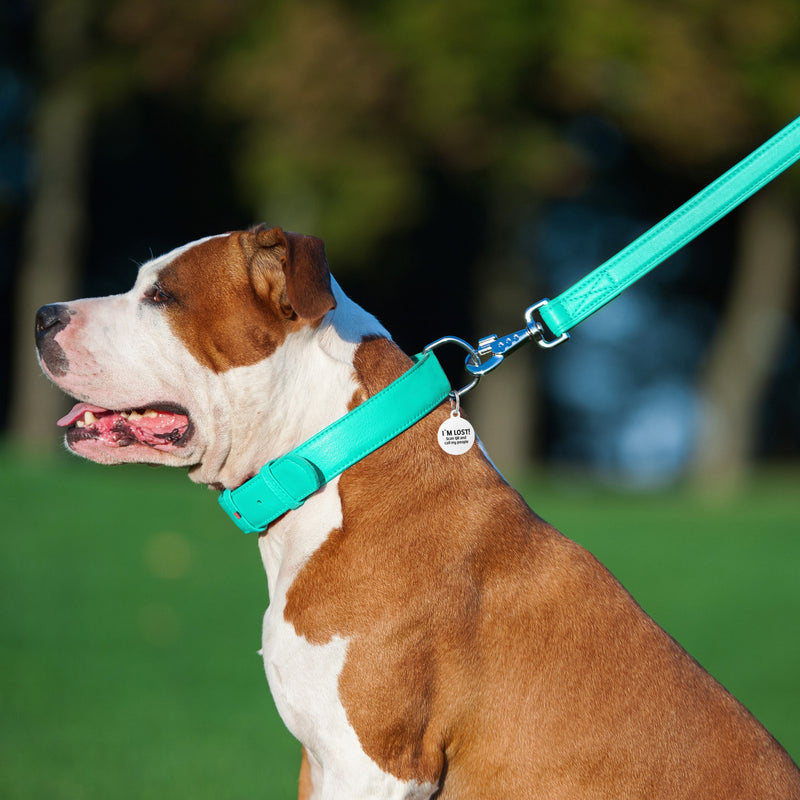Glamour leather leash for dogs