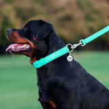 Glamour leather leash for dogs