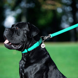 Glamour leather leash for dogs