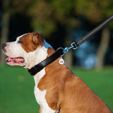 Glamour leather leash for dogs