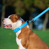 Glamour leather leash for dogs