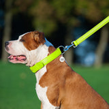 Glamour leather leash for dogs