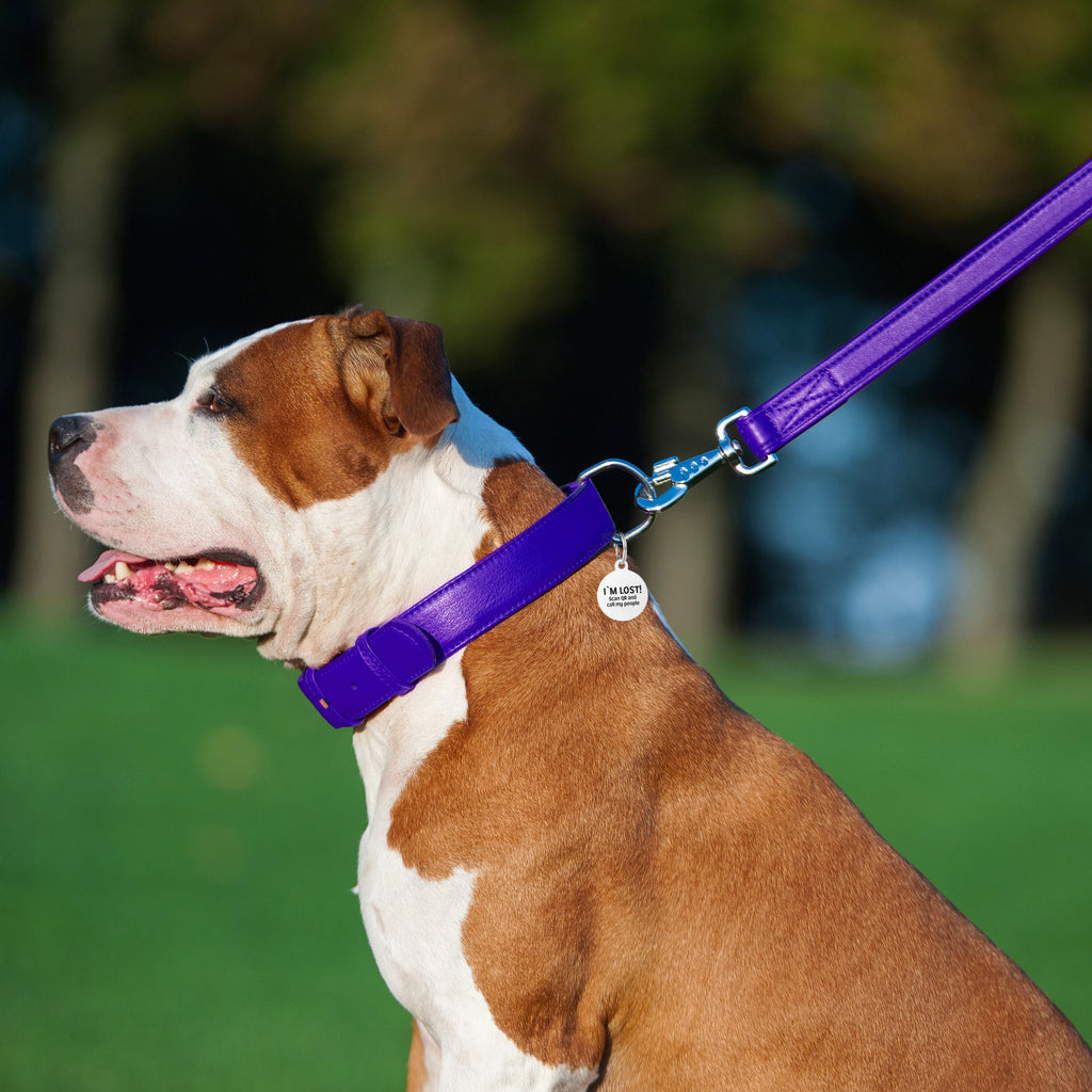 Glamour leather leash for dogs