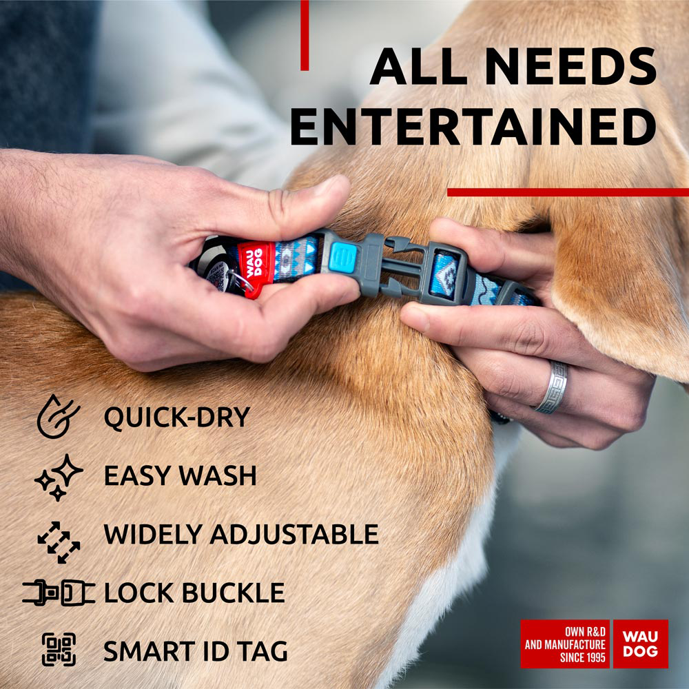Nylon collar with design