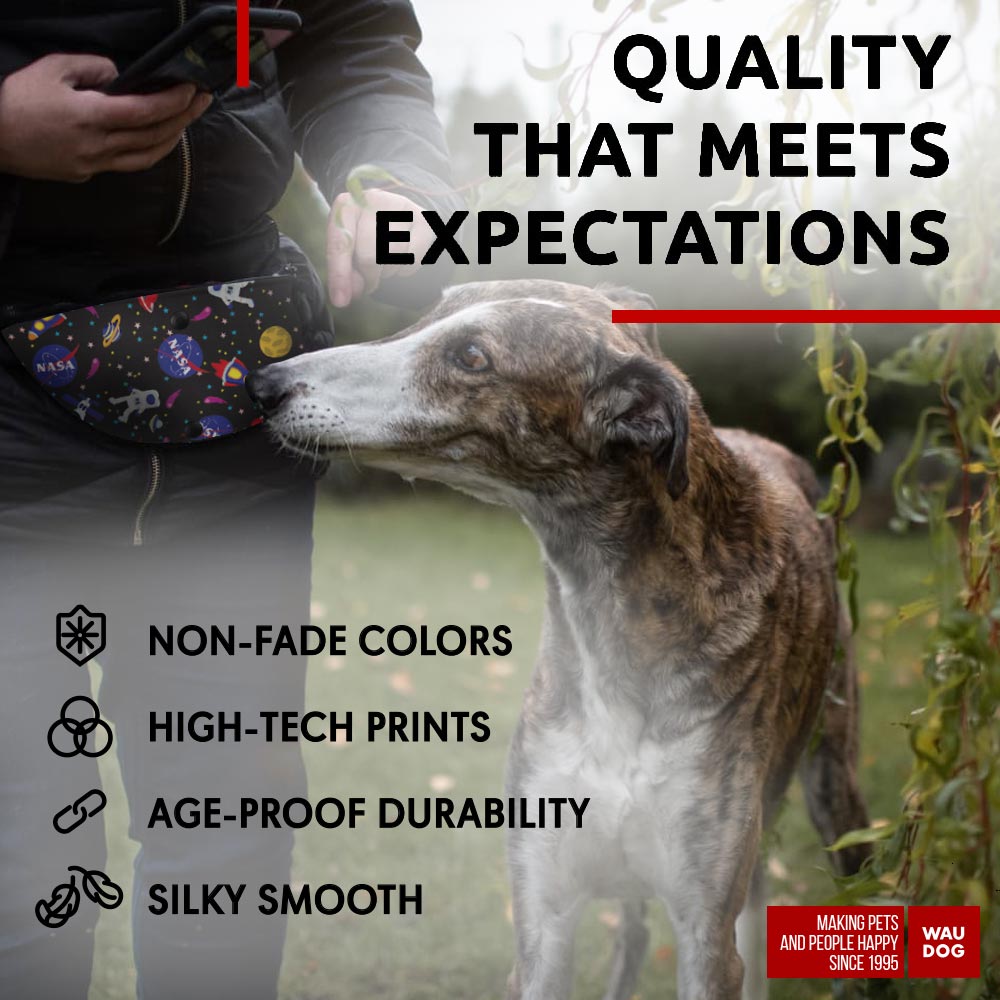 Waist bag for feed and accessories