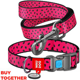 Nylon leash with a unique design for dogs