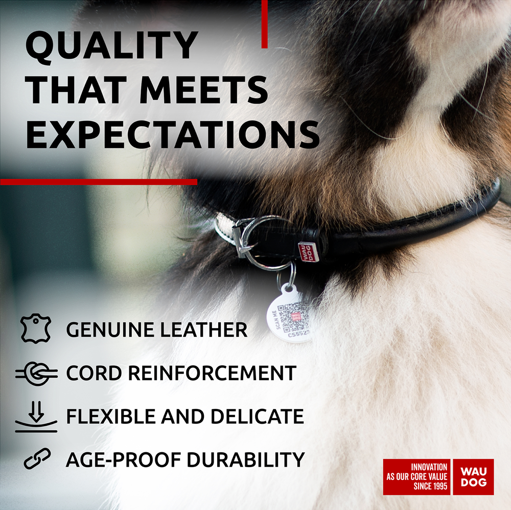Rolled Leather Dog Collar