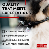 Rolled Leather Dog Collar