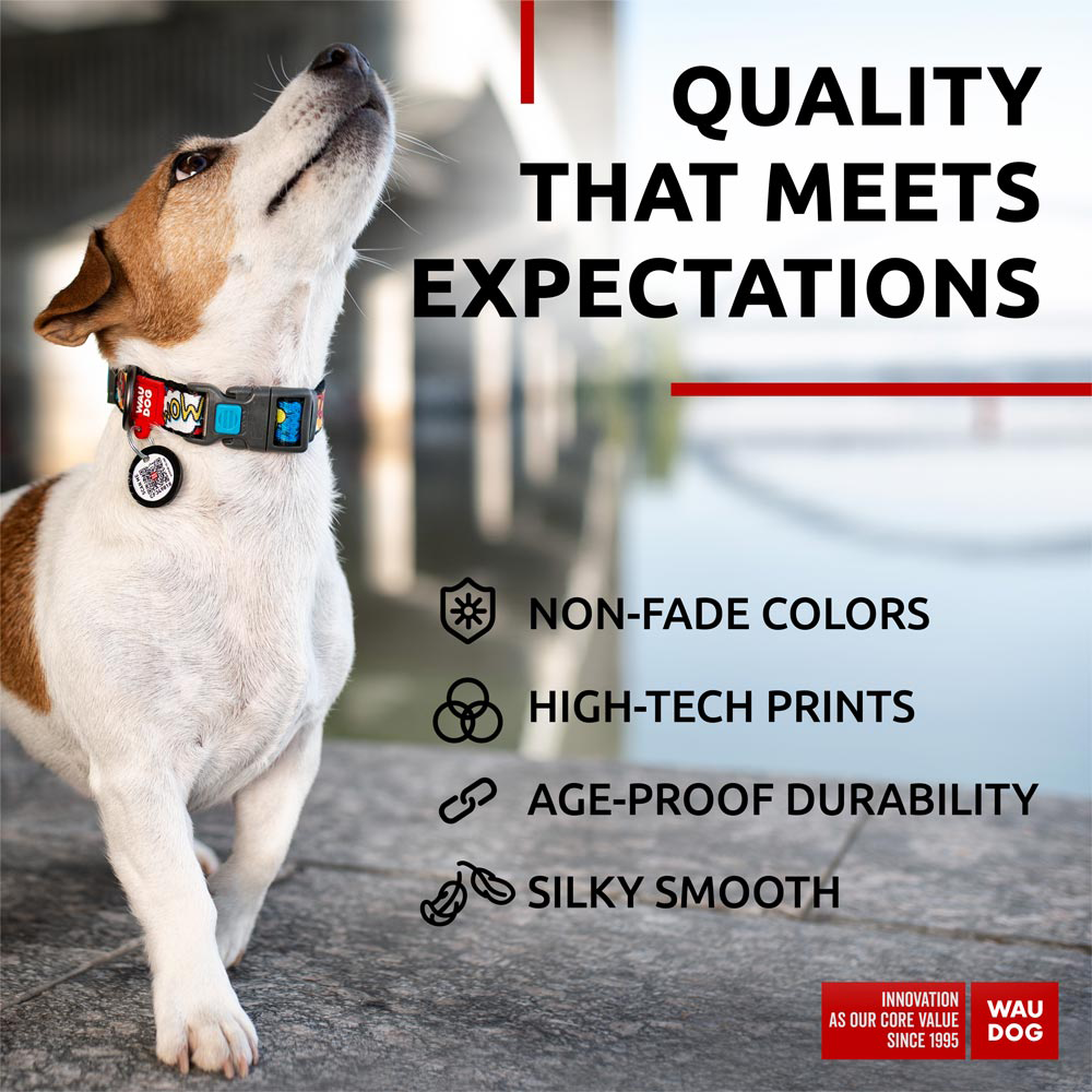 Nylon collar with design