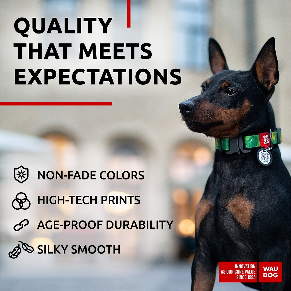 Nylon collar with design
