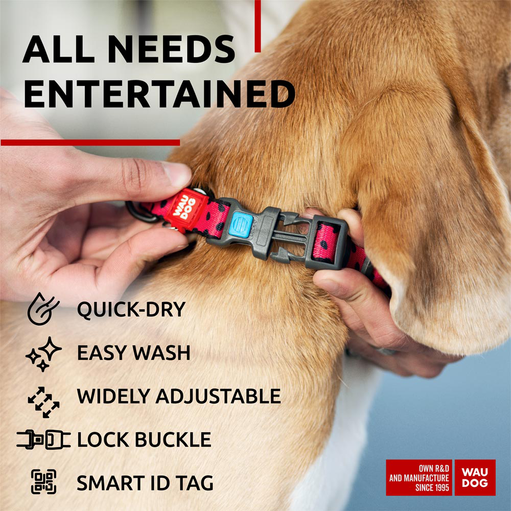 Nylon collar with design