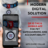 Nylon collar with design
