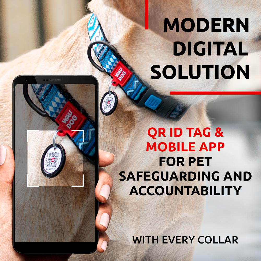 Nylon collar with design