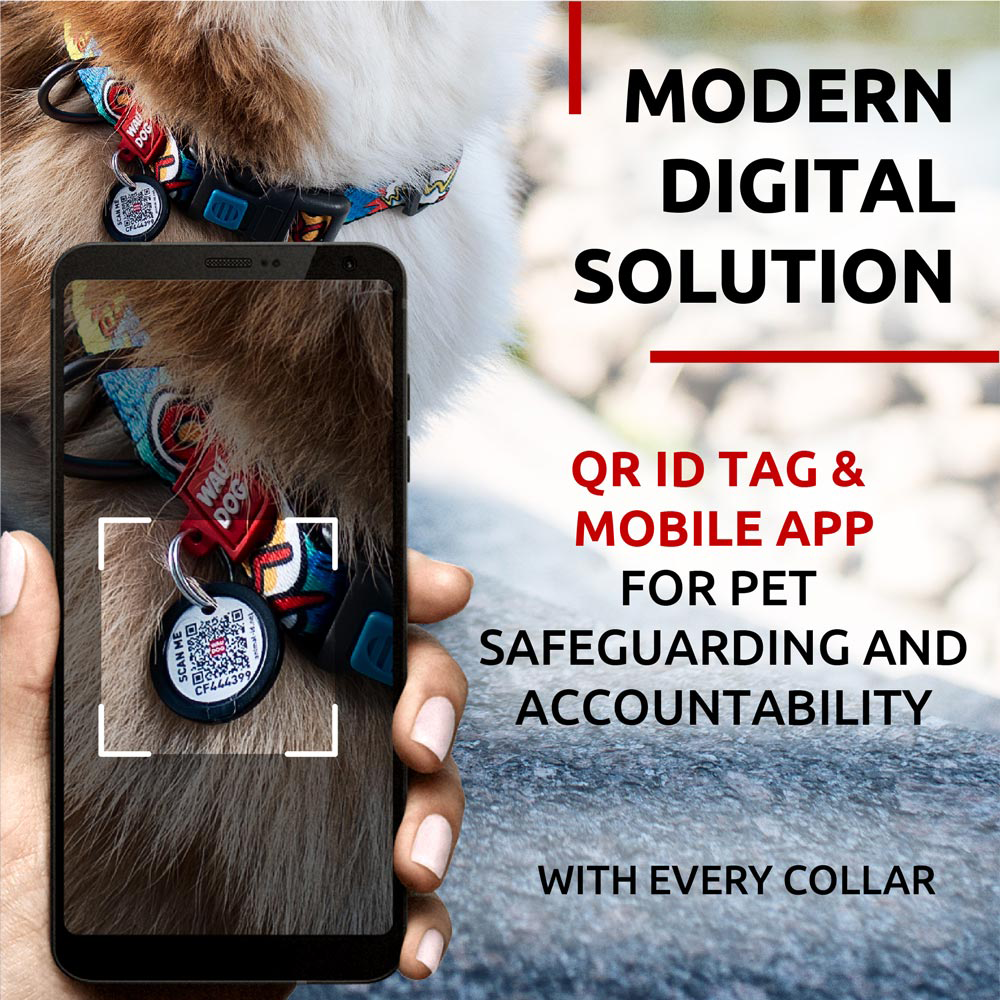 Nylon collar with design