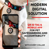 Nylon collar with design