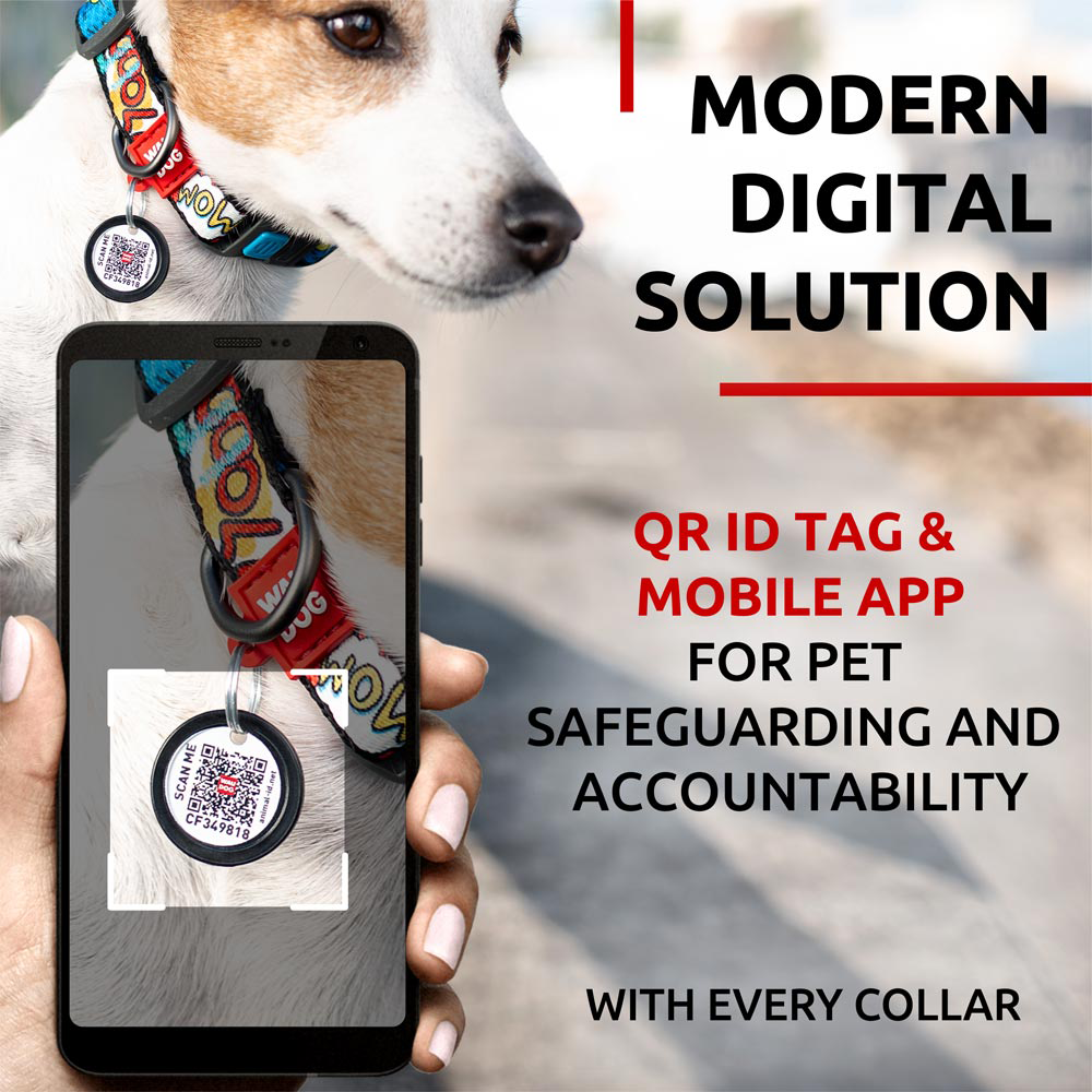 Nylon collar with design