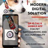 Nylon collar with design