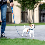 Nylon collar with design