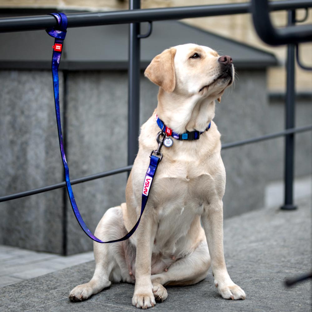 Nylon collar with design