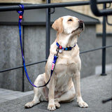 Nylon collar with design