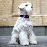 Nylon collar with design