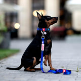 Nylon collar with design