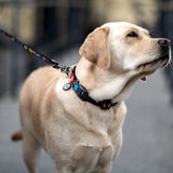 Nylon collar with design