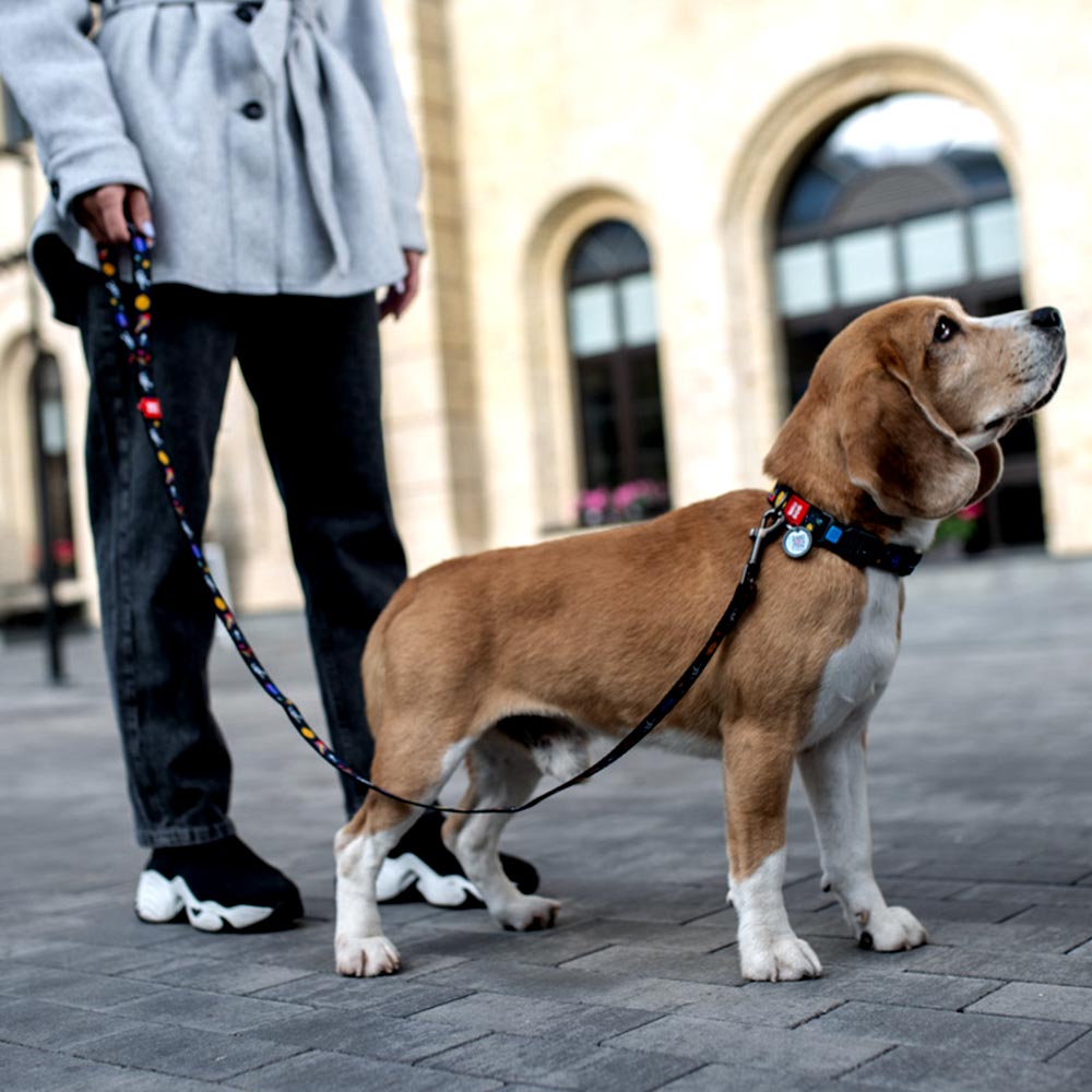 Nylon collar with design