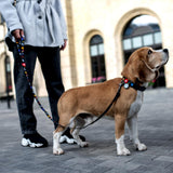Nylon collar with design
