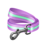 Nylon Reflective Dog Leash