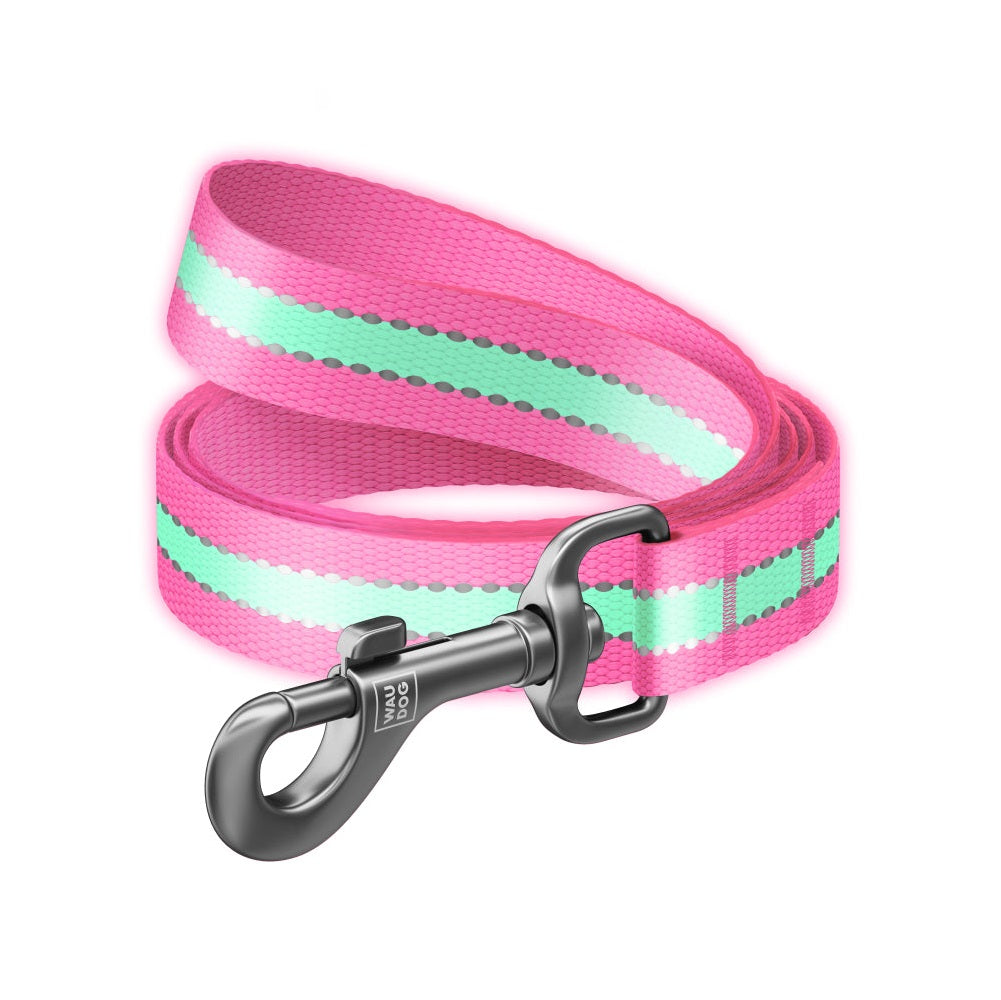 Hamilton Single Thick Dog Leash With Retro Floral Patterned Ribbon