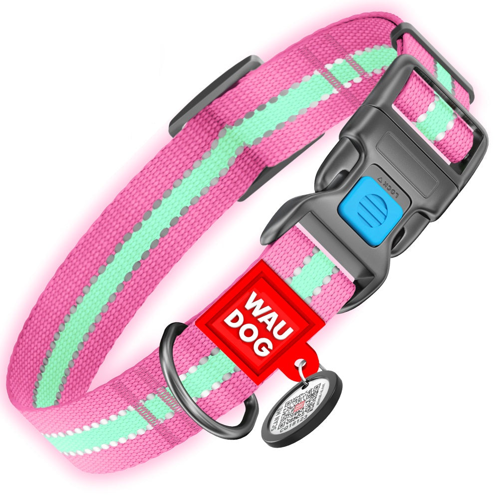 Reflective pink best sale dog collar