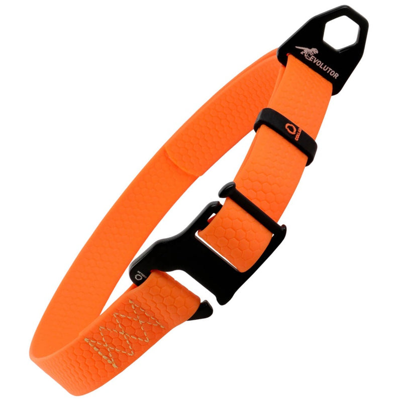 Evolutor - the most durable collar in the world
