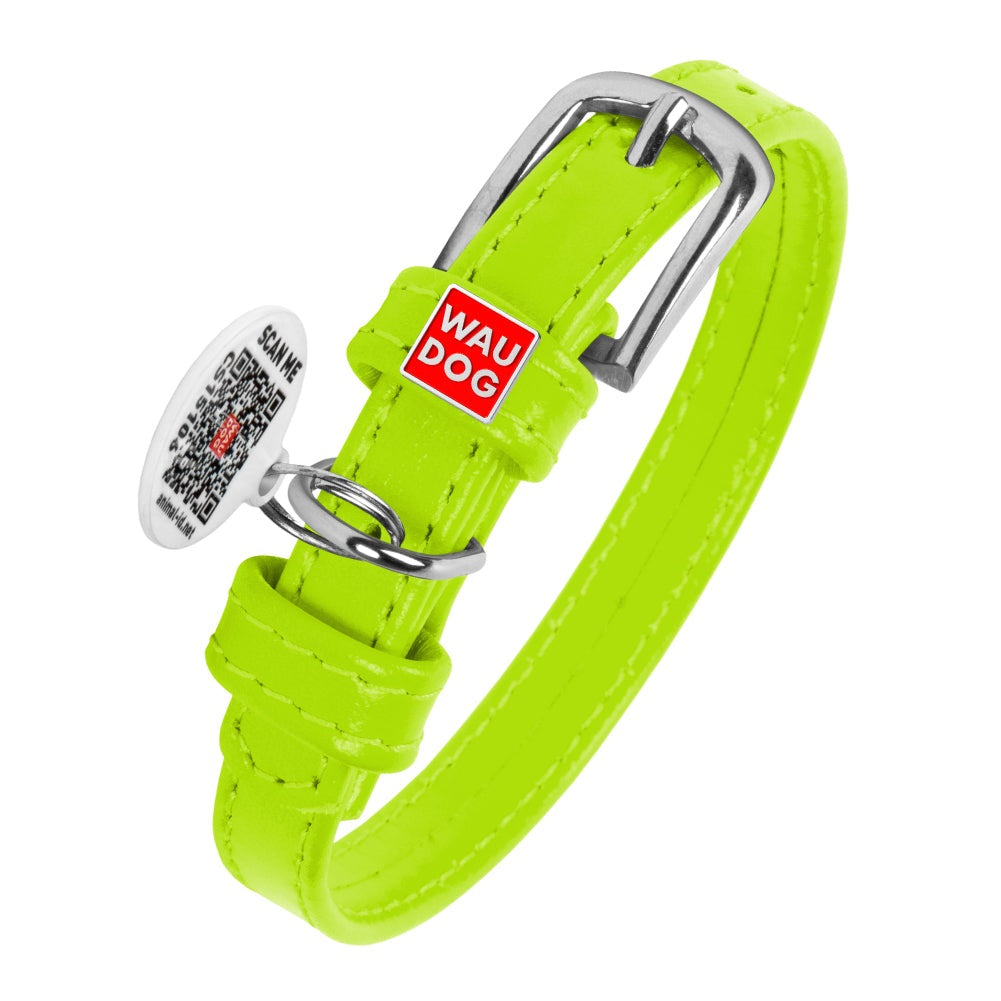Glamour leather dog collar