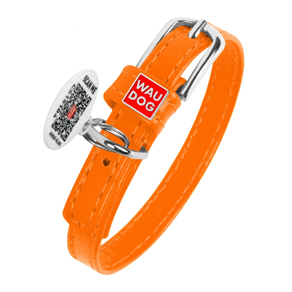 Glamour leather dog collar