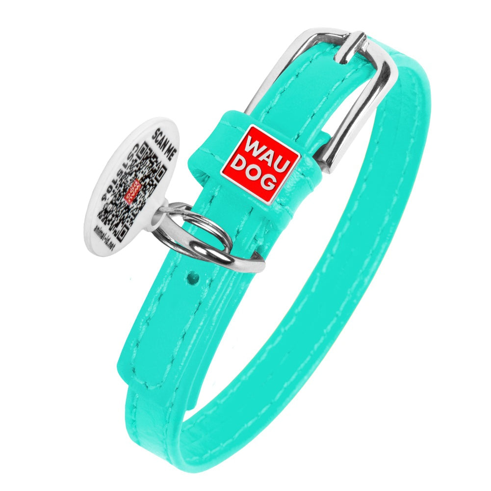 Glamour leather dog collar