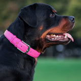 Glamour leather dog collar