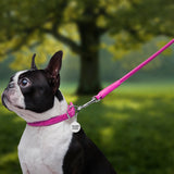 Glamour rolled leather dog leash