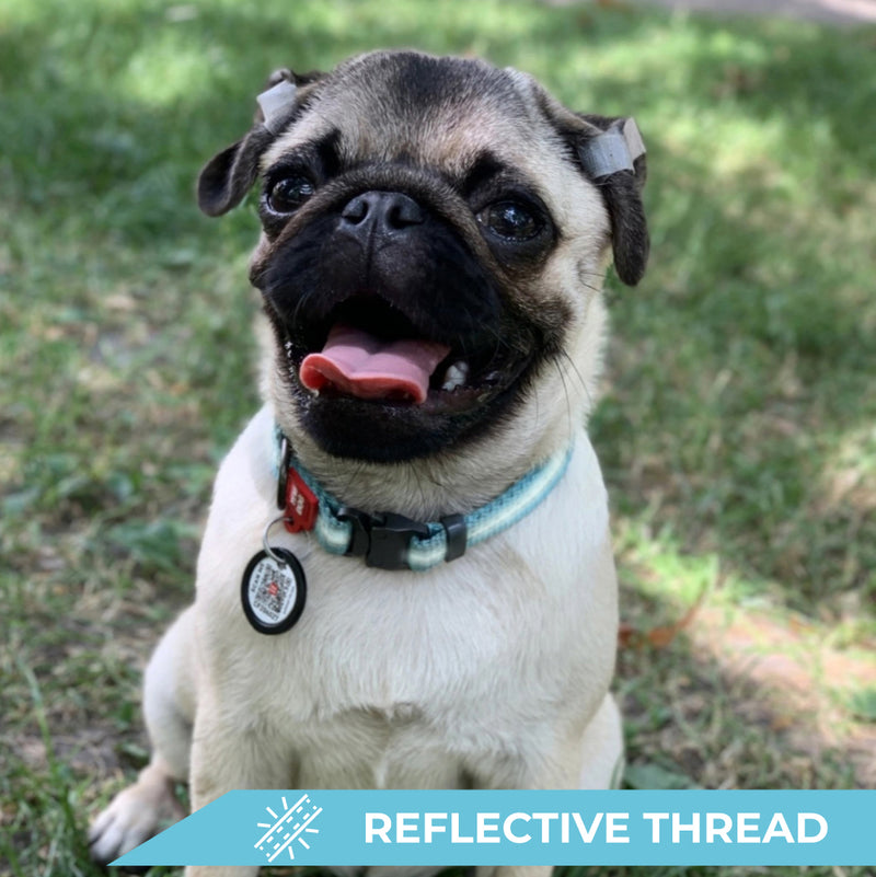 Nylon reflective dog collar